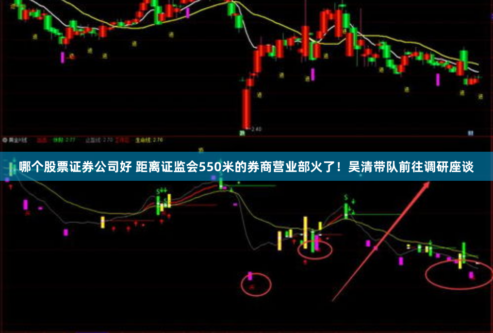 哪个股票证券公司好 距离证监会550米的券商营业部火了！吴清带队前往调研座谈