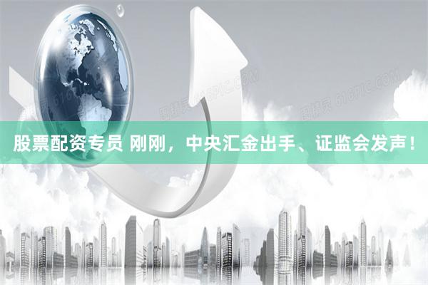 股票配资专员 刚刚，中央汇金出手、证监会发声！
